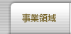 事業領域